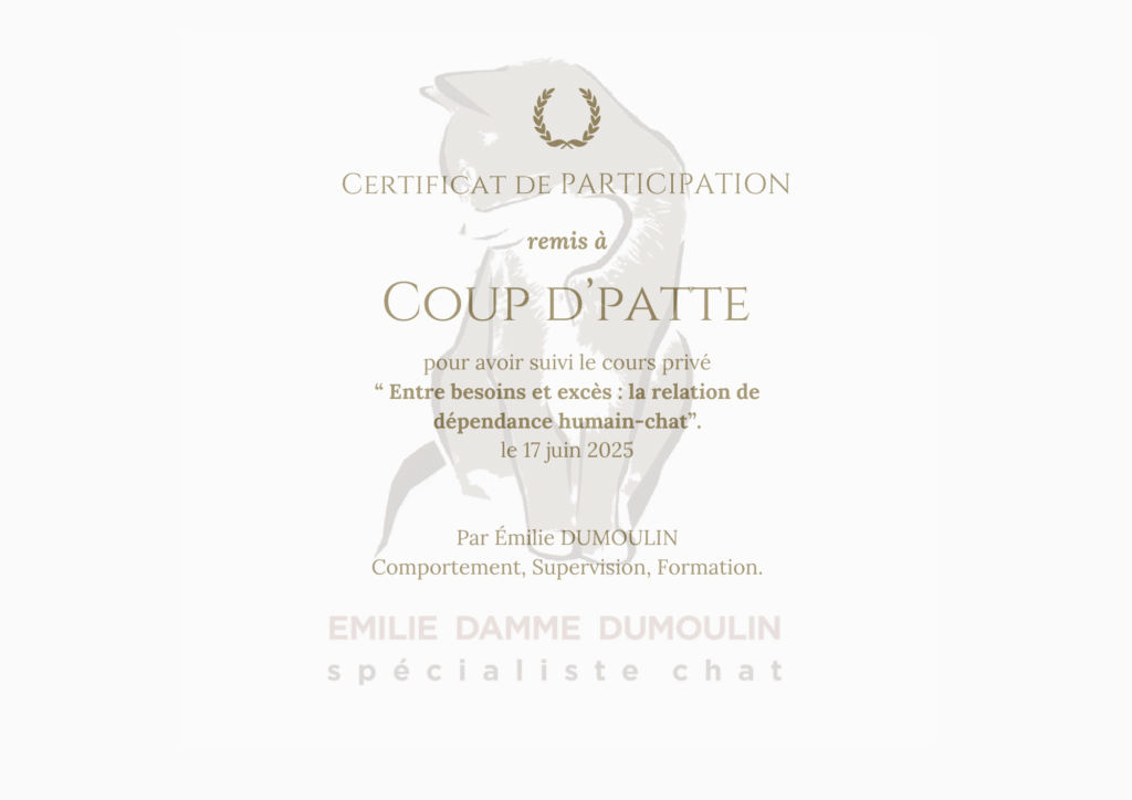 Coup D'patte certificat de participation